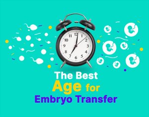 The Best Age for Embryo Transfer Procedure