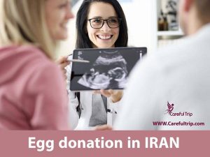 Egg Donation in Iran