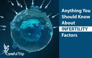 Infertility Factors & Anything You Should Know About It