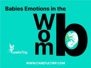 Babies’ Emotions And What They Experience In The Womb