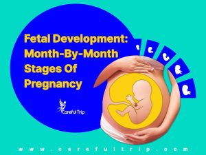 Month-By-Month Stages Of Pregnancy