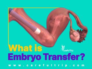 What is embryo transfer?