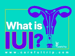 What is IUI?