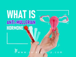 What Is Anti-Mullerian Hormone?