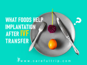 What Foods Help Implantation After IVF Transfer?