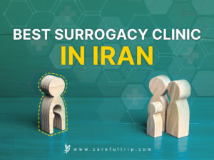 Best surrogacy clinic in Iran