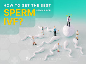 How To Get the Best Sperm Sample For IVF?