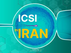 ICSI in Iran