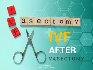 IVF After Vasectomy