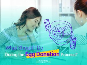 What Should I Do During the Egg Donation Process?